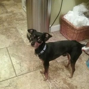 Meet your Posher, Mary